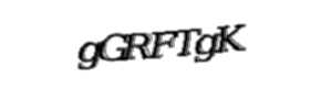 Security check image, please type the characters shown